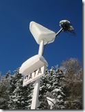 DSCN1262