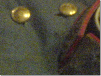 DSC03531