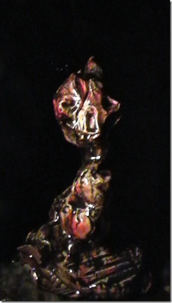 S1070016