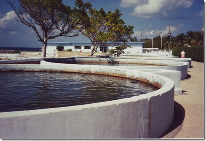 Cayman Island
