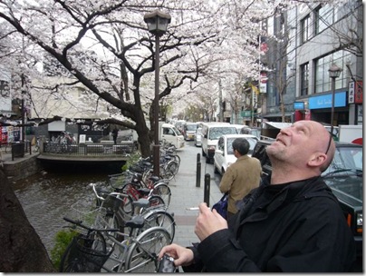 Kyoto Cherry blossoms mit Charles (1)